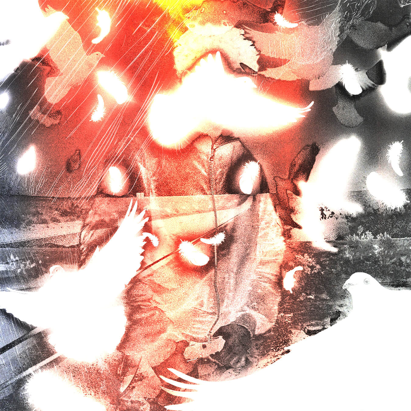 Hako